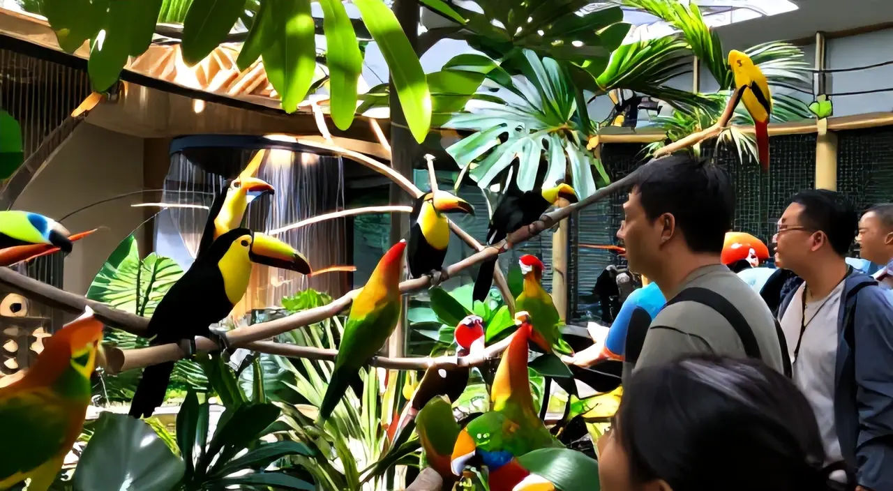 Imagem de Pássaros